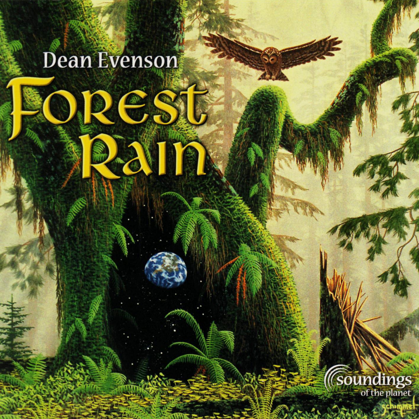 forest rain by Dean Evenson Soundings of the Planet